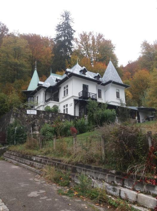 Il Piccolo Castello Buşteni Exteriör bild