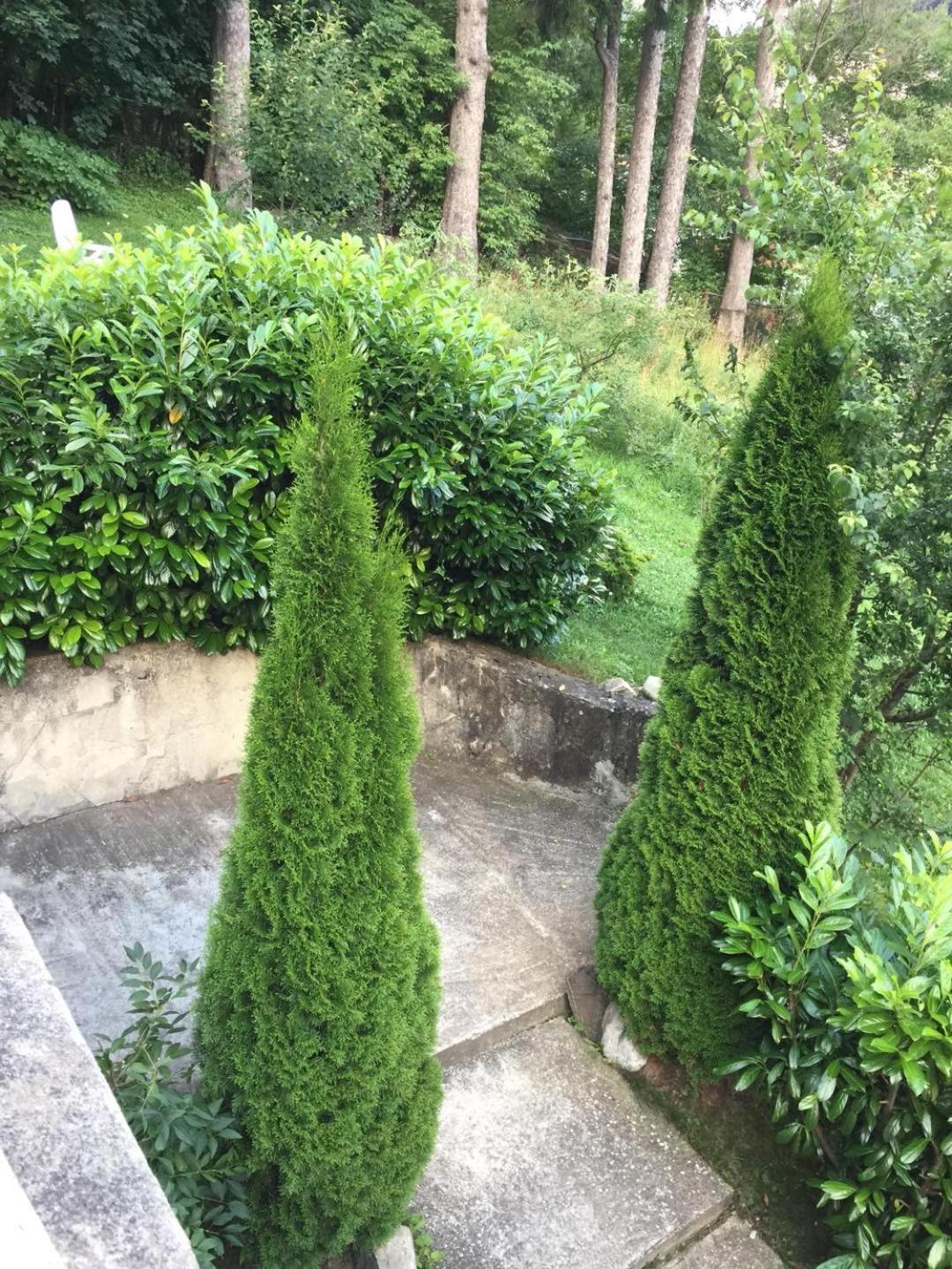 Il Piccolo Castello Buşteni Exteriör bild