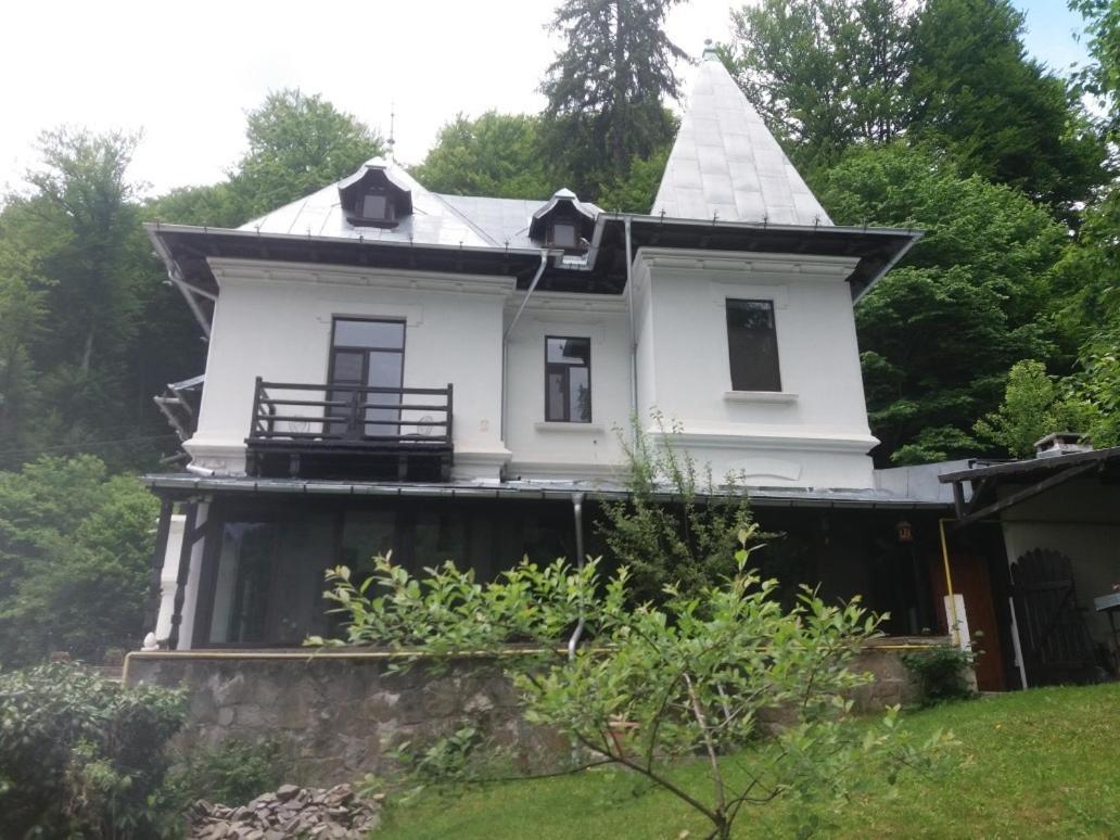 Il Piccolo Castello Buşteni Exteriör bild