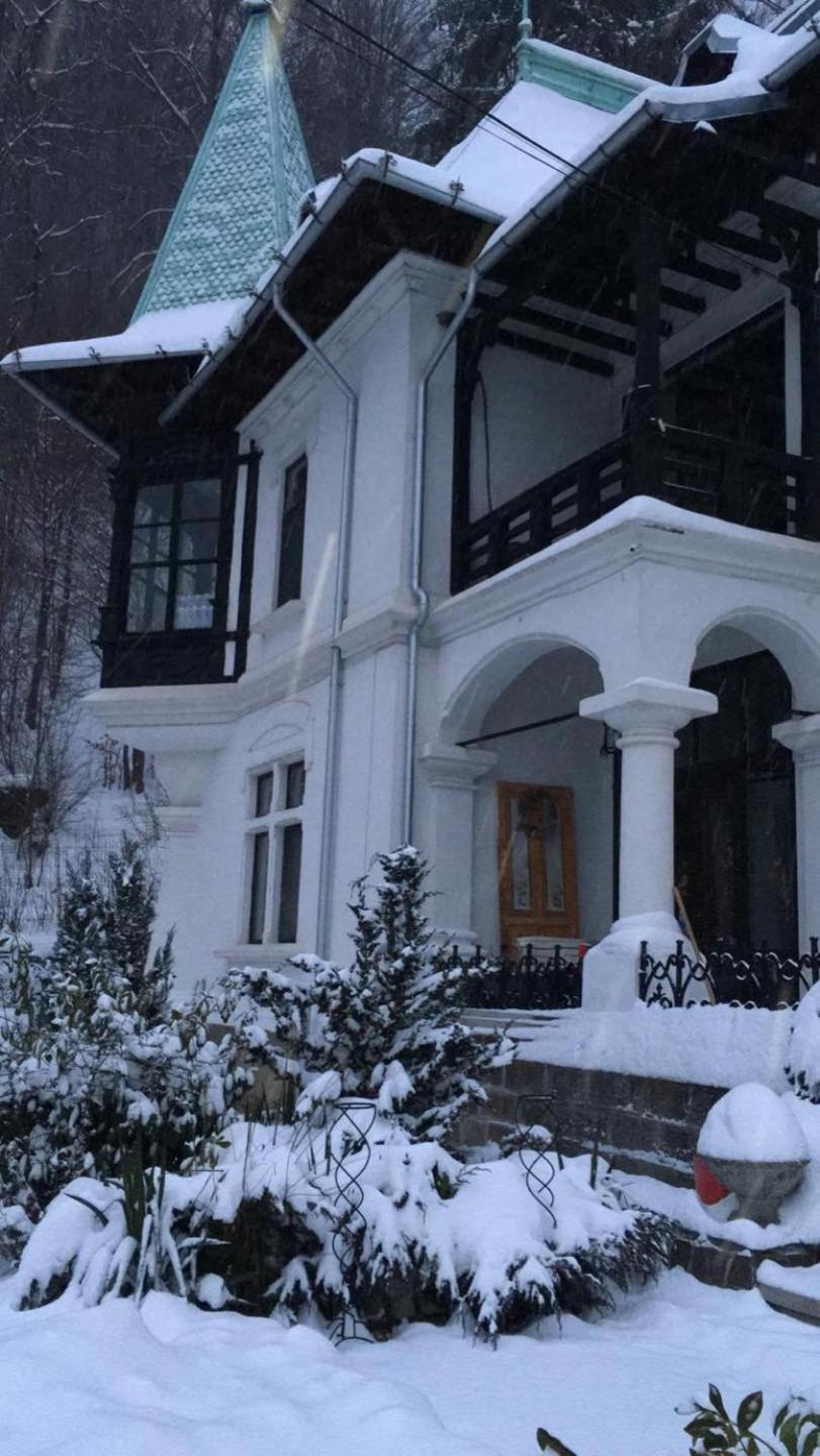 Il Piccolo Castello Buşteni Exteriör bild