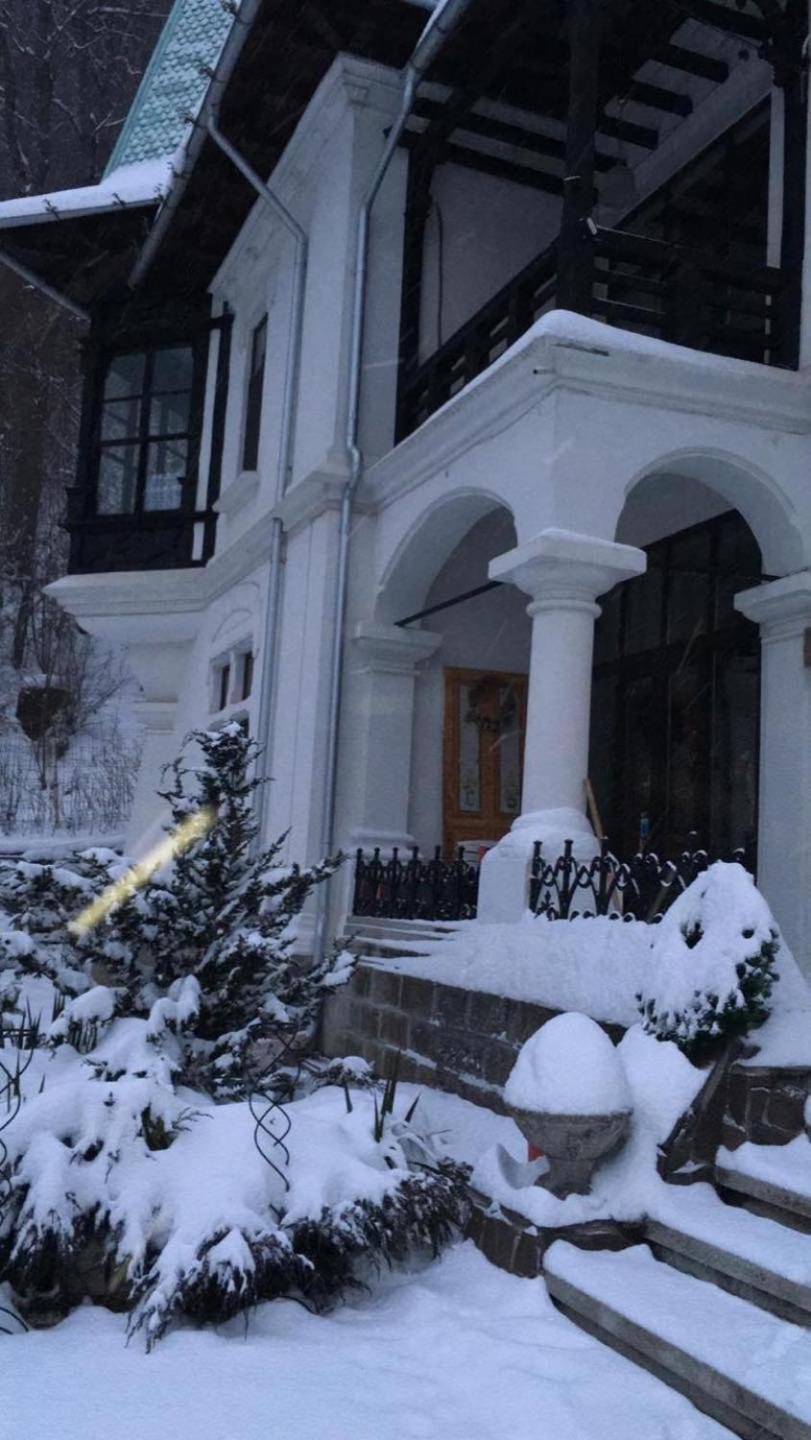 Il Piccolo Castello Buşteni Exteriör bild