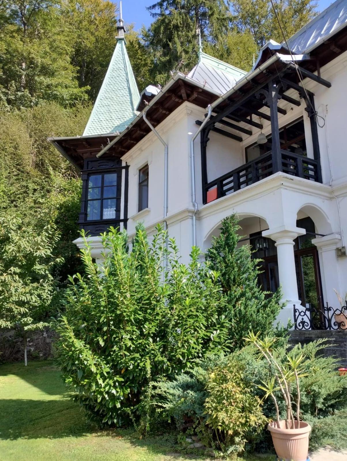 Il Piccolo Castello Buşteni Exteriör bild