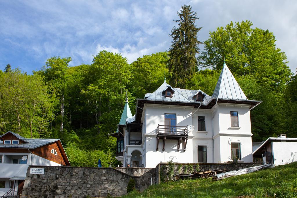 Il Piccolo Castello Buşteni Exteriör bild